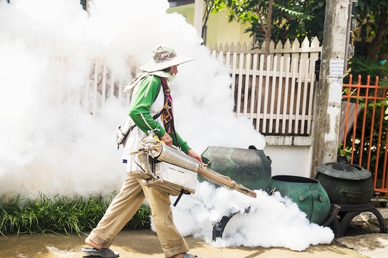 como fumigar la casa de garrapatas